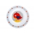 Miska Plastikowa dla dziecka 270 ml CUTE ANIMALS 4/412_red Canpol Babies