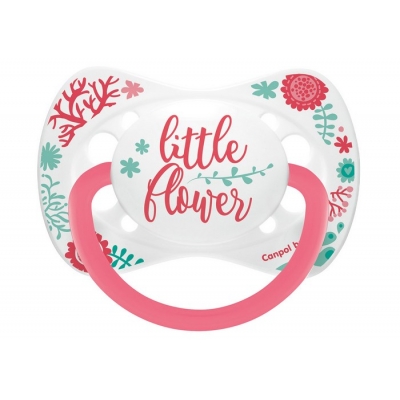 Zestaw Smoczków Uspokajających Silikon 0-6m Symetryczny Wild Nature + Cupcake 23/954_cor Canpol Babies