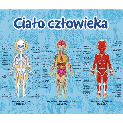 Gra Edukacyjna Ciało Człowieka. Mistrz Wiedzy 01957 Trefl