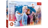 Puzzle Maxi 24 - Magiczna Wyprawa 14298 / TREFL