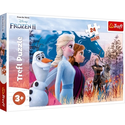 Puzzle Maxi 24 - Magiczna Wyprawa 14298 / TREFL