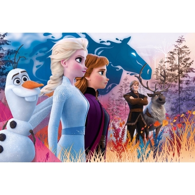 Puzzle Maxi 24 - Magiczna Wyprawa 14298 / TREFL