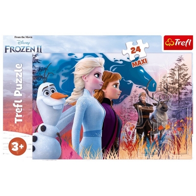 Puzzle Maxi 24 - Magiczna Wyprawa 14298 / TREFL